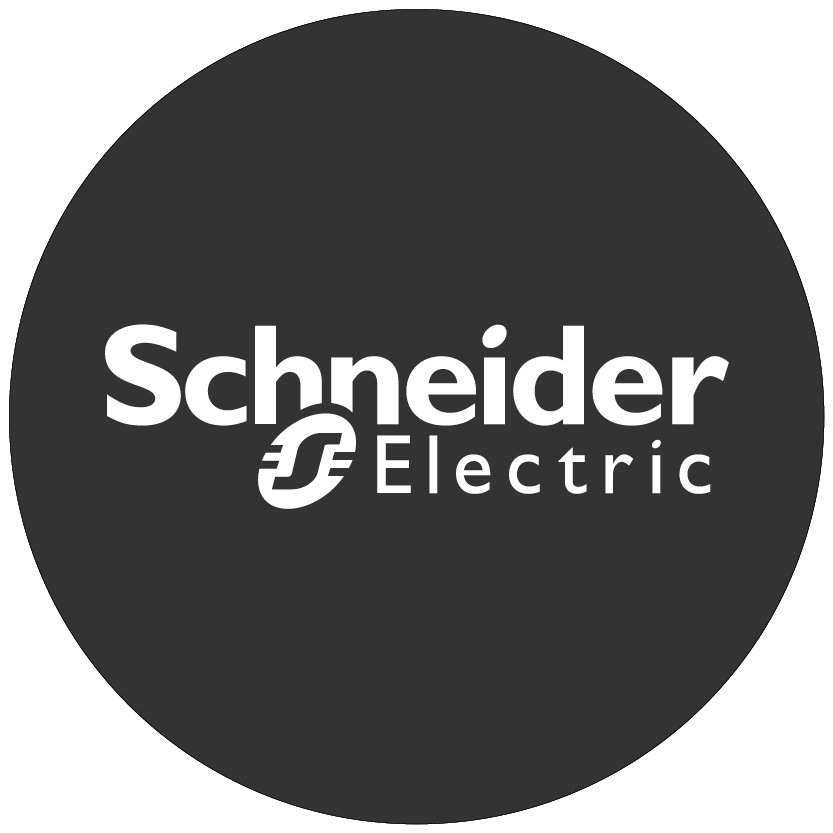 Read more about the article Schneider Electric